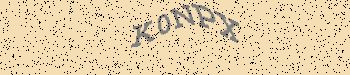 An error has occurred while getting captcha image